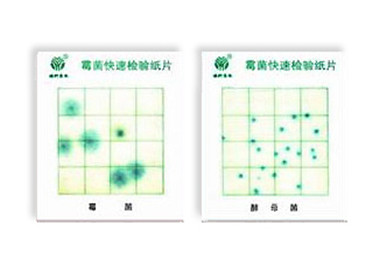 霉菌、酵母菌測試片